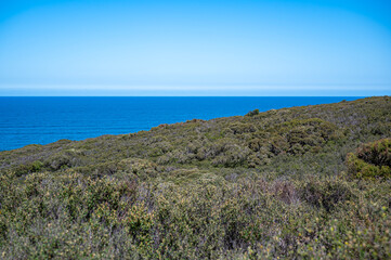 Fototapeta na wymiar Looking towards Bells Beach from Jan Juc carpark Torquay, Australia