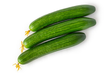 Three large ripe cucumbers on a white background, top view. Close up.