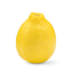 lemon on white background