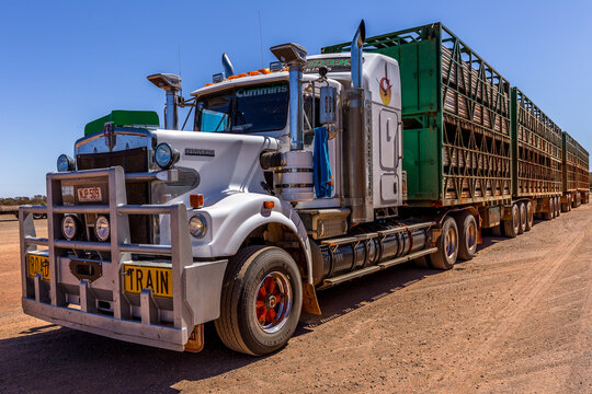 Road train on the Stuart Highway carrying livestock, Red Center, Australia