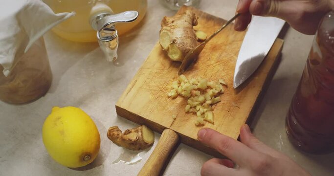 Homemade fermented kombucha with natural probiotic properties.Raw spicy root used for healthy beverage kombucha, fresh pressed juices, and fresh home cooked meals