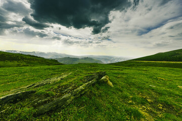 Fototapeta na wymiar landscape with field and sky