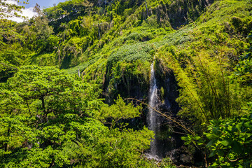 Anse des Cascades waterfalls in Sainte-Rose on Reunion Island