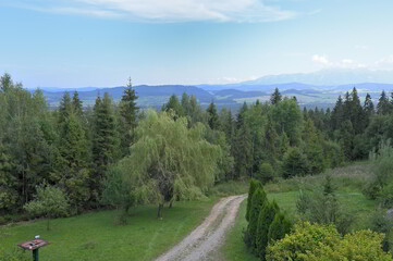 Panorama with green forest and mountains and blue sky with clouds in summer in southern Poland in Europe