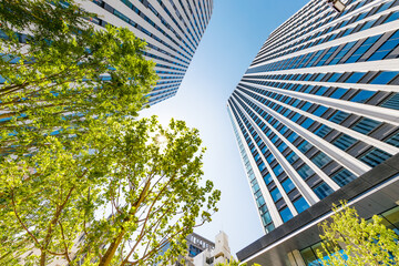 新緑の木と東京のビル群