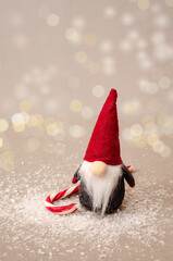 Christmas time is near - Cute little winter gnome is waiting for christmas. Christmas time concept