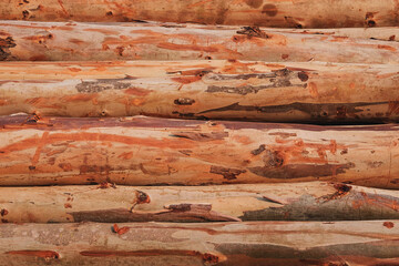 Background Timber and nature