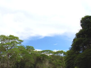 Fototapeta na wymiar Landscape of the river Bugres, in barra do bugres mato grosso Brazil wildlife