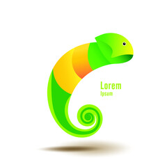 Chameleon Logo,  Colored lizard vector design. Isolated chameleon on white background. Vector illustration EPS10