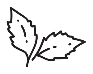 Tea leaf pair hand drawn sketch isolated on white background