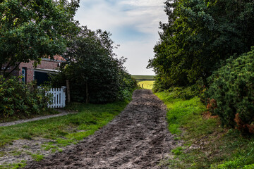 Spiekeroogs Dorfimpressionen