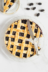 Blackberry Pie with Fresh Blackberries