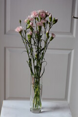 bouquet of pink carnation