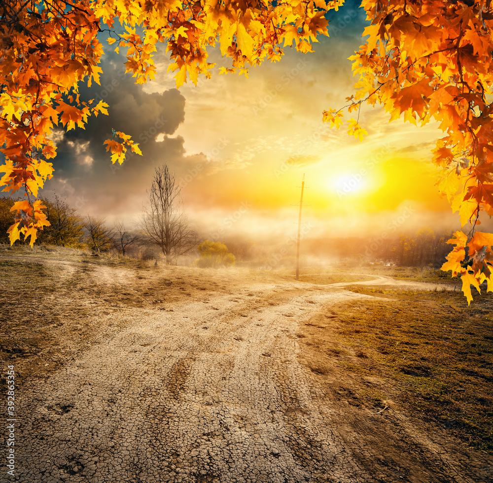 Canvas Prints road and autumn field
