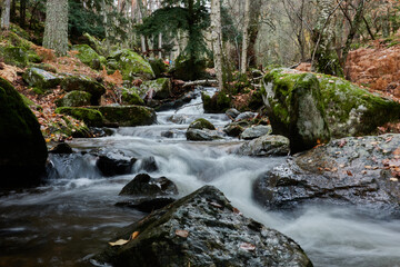 Small waterfalls in the bed of the Sestil de Maíllo stream. Autumn in the Sierra de Guadarrama National Park. Madrid's community. Spain