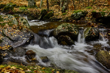 Small waterfalls in the bed of the Sestil de Maíllo stream. Autumn in the Sierra de Guadarrama National Park. Madrid's community. Spain