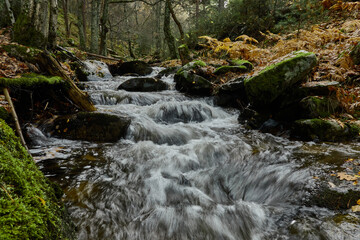 Small waterfalls in the bed of the Sestil de Maíllo stream. Autumn in the Sierra de Guadarrama National Park. Madrid's community. Spain