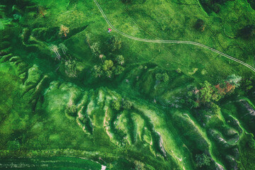 Green fields from above