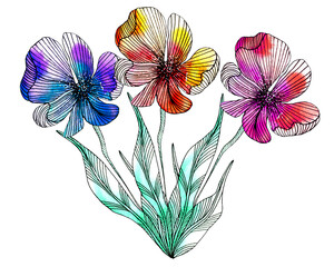 Bouquet with three colorful stylized liner flowers.Hand drawn graphic and watercolor floral illustration.Isolated on white background.For printables, posters, stickers,postcards,greetings,patterns.