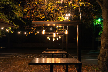 Many differentelectric incandescent light globe lamps hang over the tables in a street cafe in a night park