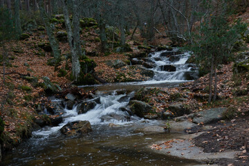 Small waterfalls in the bed of the Sestil de Maíllo stream. Autumn in the Sierra de Guadarrama National Park. Madrid's community. Spain