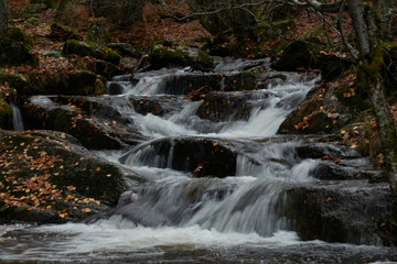 Small waterfalls in the bed of the Sestil de Maíllo stream. Autumn in the Sierra de Guadarrama National Park. Madrid's community. Spain