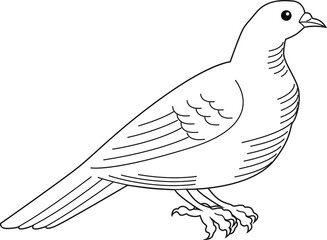 Beautiful dove.Heraldry. Hand drawn vector illustration isolated on white.