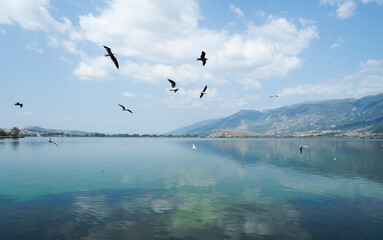 Greece Ioannina lake Ioannina landscape