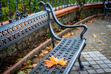 metal bench in autumn with dry leaf