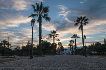 beautiful stone street with palm trees with monastery in the background