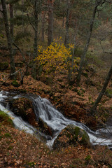 Small waterfalls in the bed of the Sestil de Maíllo stream. Autumn in the Sierra de Guadarrama National Park. Madrid's community. Spain