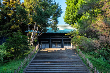 東京都 湯島聖堂 杏壇門と参道の階段