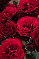 bouquet of red roses