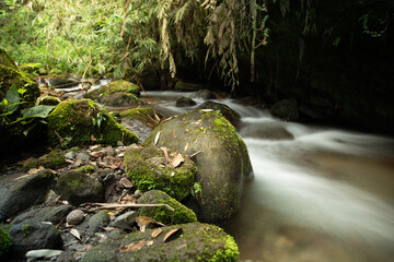 Cascada y rio en alta exposición en verano 
