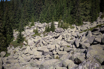 rocks in the mountains