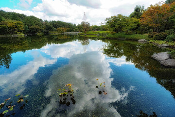 昭和記念公園日本庭園の水鏡と青空
