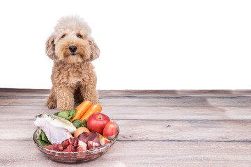 Obedient healthy dogs posing with barf raw meat on wooden surface - obrazy, fototapety, plakaty