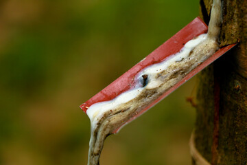 Dried rubber stain or latex on the blade