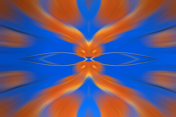 radial color pattern, closeup of photo