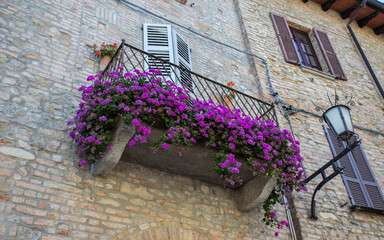 Fototapeta na wymiar Colorful flowers adorning a balcony in Italy in summertime