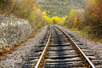 Obraz premium Russian Straight Railway with trees. Landscape with railroad, summer time traveling, freedom of movement.