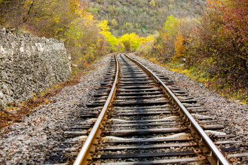 Russian Straight Railway with trees. Landscape with railroad, summer time traveling, freedom of...