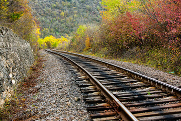 Obraz premium Russian Straight Railway with trees. Landscape with railroad, summer time traveling, freedom of movement.