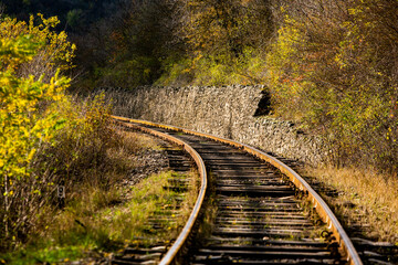Russian Straight Railway with trees. Landscape with railroad, summer time traveling, freedom of...