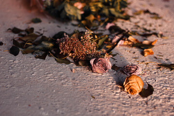 Withered Flowers 