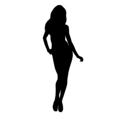 Fototapeta na wymiar Silhouette Of Sexy Woman Pose