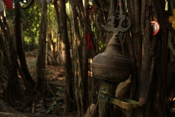 Banyan tree and om sign