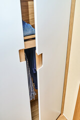 Modern wardrobe with finger pull design. Wooden wardrobe with light gray cabinet doors. Modern furniture