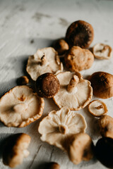 Bunch of fresh collected shiitake mushrooms