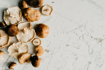Bunch of fresh collected shiitake mushrooms